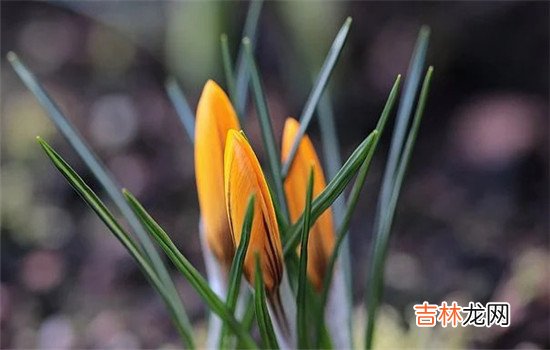 中年男人出轨的下场。|中年男人出轨的下场  会被妻子儿女抛弃，反感