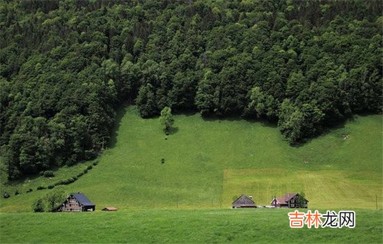 在传统的全家挂念一中 女人精神出轨该离婚吗，还是不要离婚