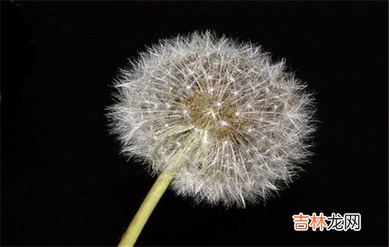 在传统的全家挂念一中 女人精神出轨该离婚吗，还是不要离婚