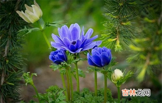 知道老公出轨了怎么办？婚姻中的任何背叛 知道老公出轨了怎么办  离婚寻求法律的帮忙