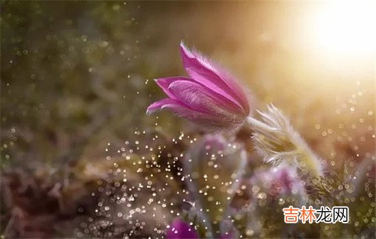 知道老公出轨了怎么办？婚姻中的任何背叛 知道老公出轨了怎么办  离婚寻求法律的帮忙