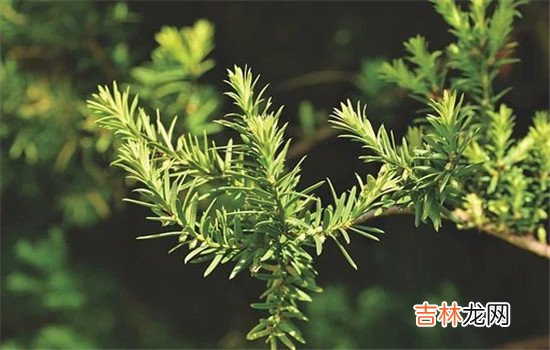 男人出轨女人怎么样才能释怀，调整自己的情绪，提升自己