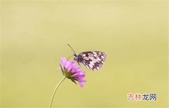 丈夫出轨后妻子怎么处理受伤的心理，让自己变得开心一些