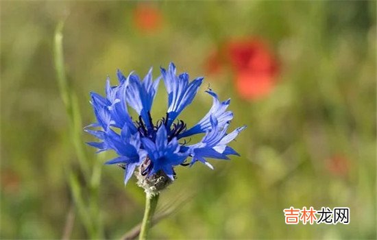 治老公出轨的最好的办法是离婚吗？两个人组建了家庭 治老公出轨最好的办法是离婚吗  最好的办法是离婚