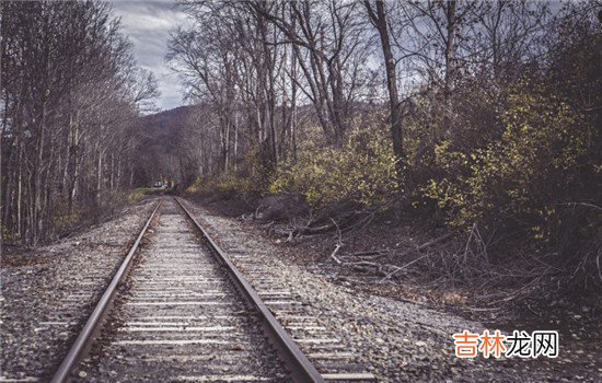 在现在这个社会上出轨成为一个大多数人都在探讨的问题。|有的人甚至是哪怕出轨了一次也不停止，而是选择继续