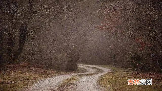 当今社会 周文强给女粉丝的忠告:做幸福女人,一定要向这位老师学习