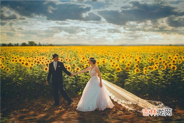 01真正见过世面的人 向来只有儿媳给公婆养老，不存在女婿给岳父母养老！
