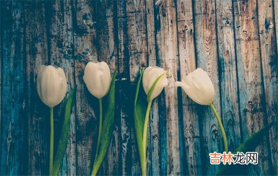 在夫妻的生活中 面对丈夫的长期辱骂，妻子需要做到的是要尽可能的减少自己的伤害