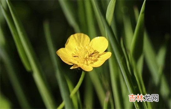 每个人选择和一个人在一起组建一个家庭的时候 老公家暴怎么离婚，可以选择起诉离婚
