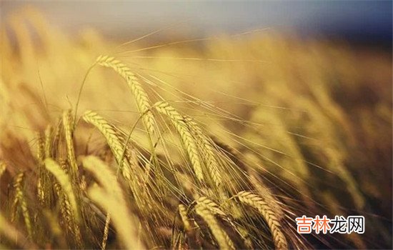 打了老婆怎么挽回？现代婚姻出现了什么多重这样的情况 打了老婆如何挽回，采取这几种方法，让她觉得你是她的依靠