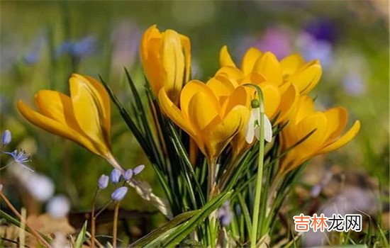 打了老婆怎么挽回？现代婚姻出现了什么多重这样的情况 打了老婆如何挽回，采取这几种方法，让她觉得你是她的依靠