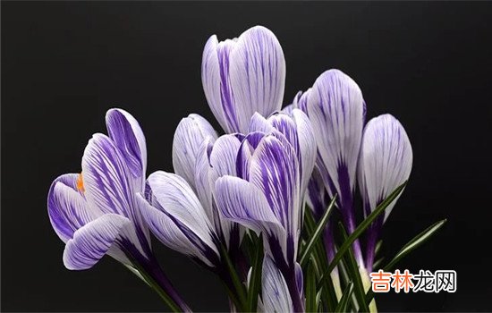在生活中 老婆有暴力倾向，作为老公要不要反抗？
