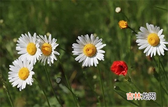 在生活中 老婆有暴力倾向，作为老公要不要反抗？