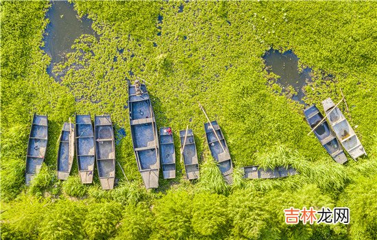 和老公没有感情了要离婚吗 和老公没有感情了不要离婚,你们能从恋爱过了那么多