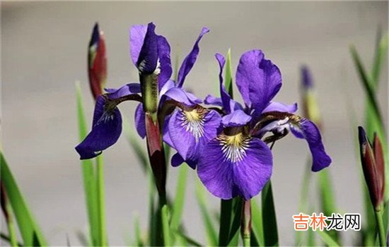 老公打了老婆还有爱吗 老公打了老婆还有爱吗,我该怎么办