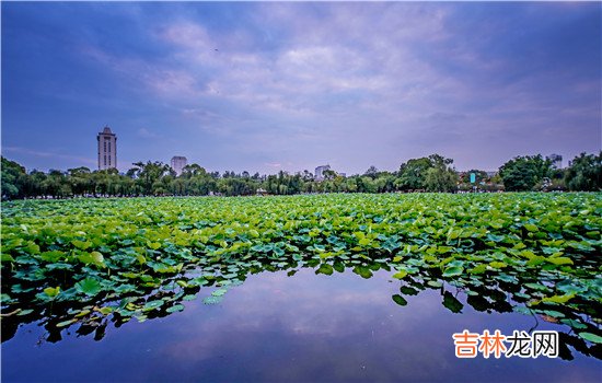 夫妻打架离婚该怎么办 夫妻打架离婚该怎么办，彼此冷静，通过沟通解决