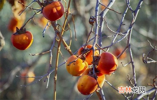 什么情况属于婚姻破裂 ，出轨是导致婚姻破裂最主要的原因，一般的人肯定不会接受出轨