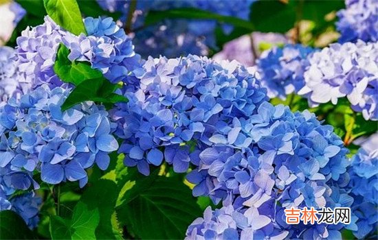 什么情况属于婚姻破裂 ，出轨是导致婚姻破裂最主要的原因，一般的人肯定不会接受出轨