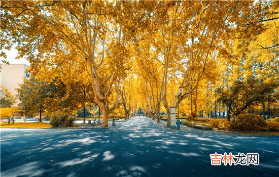 二婚老公忘不了前妻该离婚吗 当二婚老公还爱着他的前妻的时候，那我们是可以离婚的