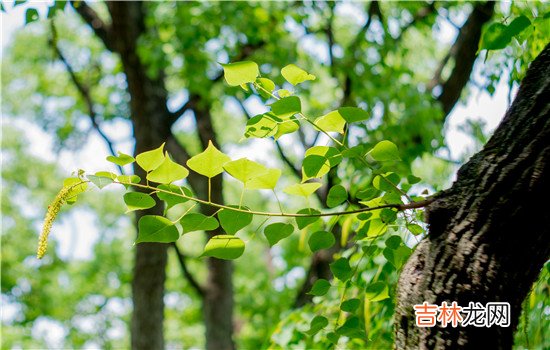 老婆离家出走要离婚，她会后悔吗