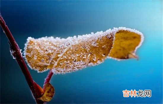 没有爱情的婚姻能坚持下去吗  当然是可以的