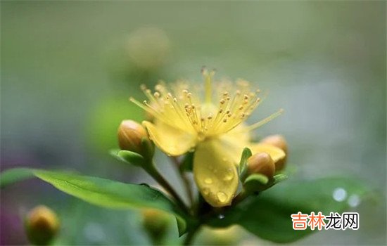 很多女人在老公对自己不好的时候都会选择离婚或者分手。|怎样让老公后悔失去我  自己变得优秀、找一个比他更好的男人