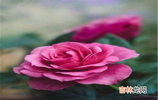 很多女人在老公对自己不好的时候都会选择离婚或者分手。|怎样让老公后悔失去我  自己变得优秀、找一个比他更好的男人
