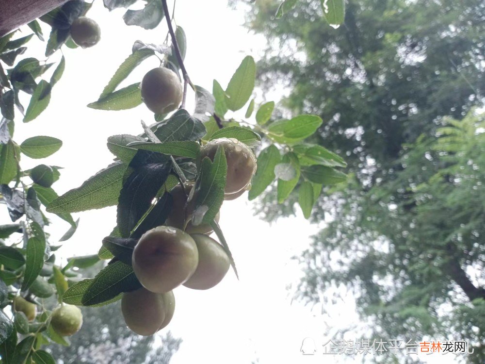 幸福在手时，要珍惜