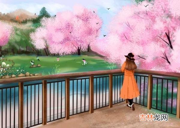 01很多人的人生都会经历一个“从无到有”的过程 陪嫁房空着也是空着，凭什么不送给我弟？