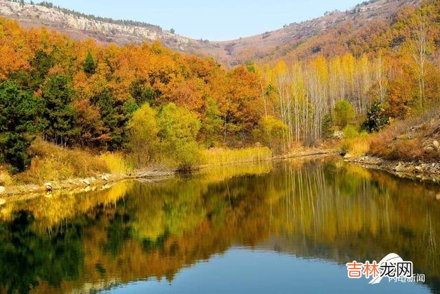 红彤彤的日头挂在西边地平线上 初冬的枣庄山亭村组水泥路上染上了一层金黄色