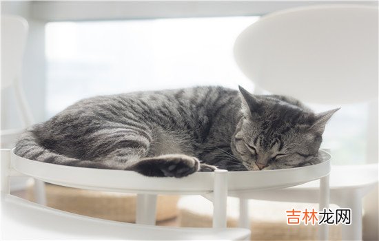 老公不按时回家该不该打电话 当老公不按时回家时没有提前说应该打电话，联系不上时应该打电话
