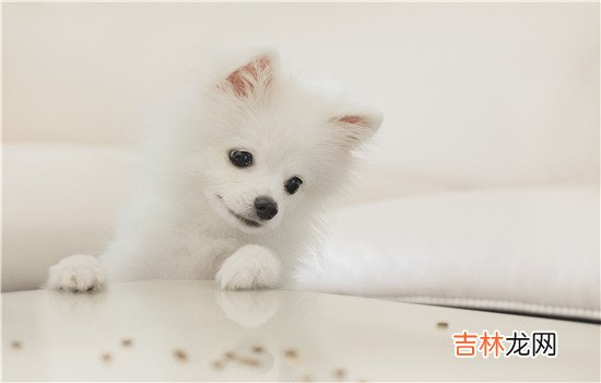 老公不按时回家该不该打电话 当老公不按时回家时没有提前说应该打电话，联系不上时应该打电话