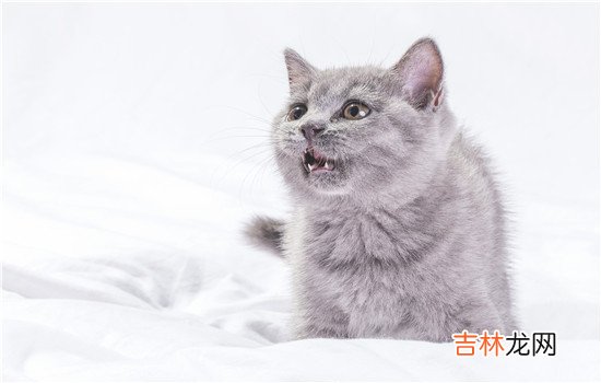 在恋爱中两个人会产生很多问题 如果两个人一个月都不去联系那么你们的婚姻也就走到了尽头