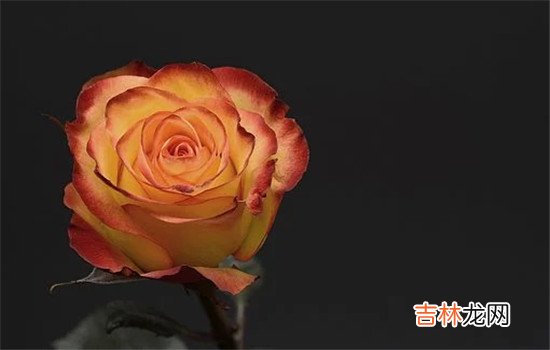 如果女人不幸碰上那些专门不回复人的男人 面对故意不回复信息男人，最好的办法就是以其人之道还自其人之心