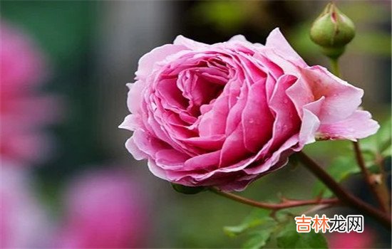 如果女人不幸碰上那些专门不回复人的男人 面对故意不回复信息男人，最好的办法就是以其人之道还自其人之心