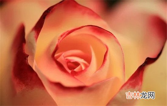 如果女人不幸碰上那些专门不回复人的男人 面对故意不回复信息男人，最好的办法就是以其人之道还自其人之心