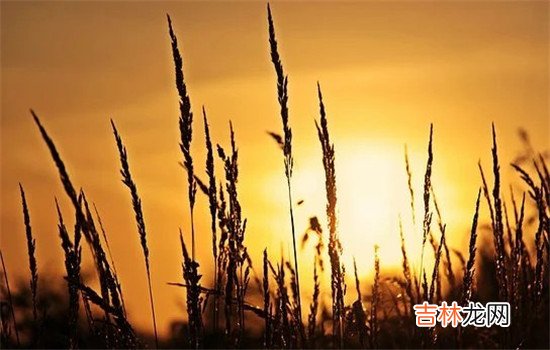 婚姻里面肯定不会有人可以去承诺 他如果不想跟你过了，肯定就不会把你当成他最信任的人