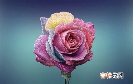 当两个人从陌生的关系发展到情侣的时候 我们在订婚宴上，最重要的就是仪式感