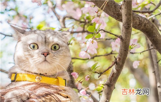 经常有人抱怨 老公对自己不感兴趣时,是否自己在日常生活中有忽略对他的关心