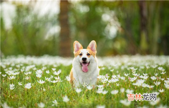 经常被老公家暴怎么办 当自己频繁的被家暴时，就要学会向警方寻求帮助