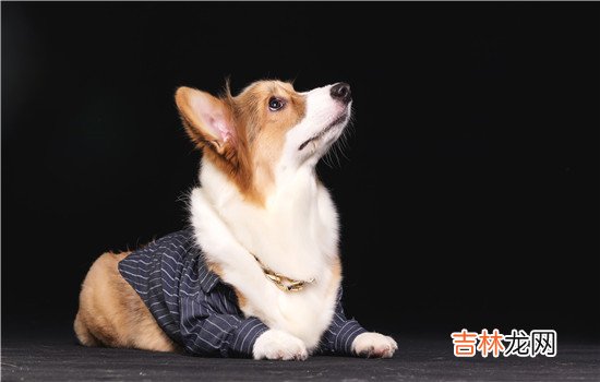 出轨的婚姻该如何继续 其实当一个人忙起来的时候，就不会往出轨这方面想