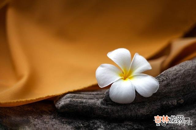 佛曰：心灵的安顿和自由是人人都渴望的 不要过分期待，因为很多结果不会称心如意