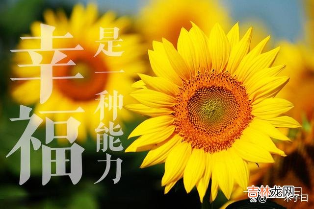 幸福是一种能力 性格乐观、心态阳光的人则能更多地感受生活中的温暖