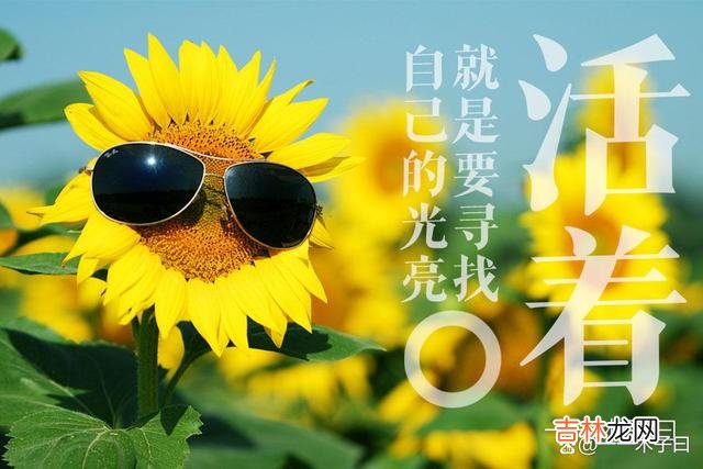 幸福是一种能力 性格乐观、心态阳光的人则能更多地感受生活中的温暖