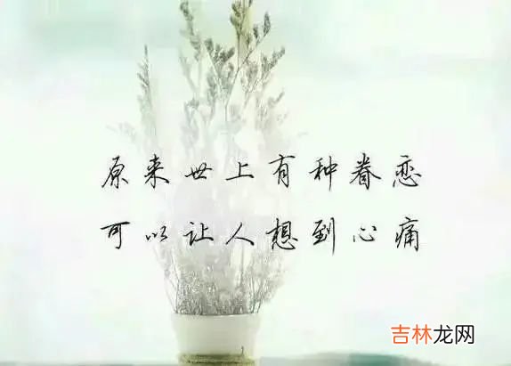 爱你，你在哪里我的心就在哪；想你，你是我心灵栖息的归宿