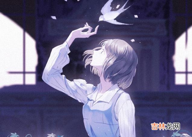 单身男女 中间人，从来都不是好当的，存在很大的风险