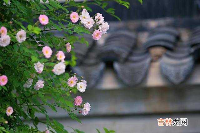 “人从巧计夸伶俐。|退休后，捂紧自己的钱袋子，守好自己的养老钱，学会适度地抠门些
