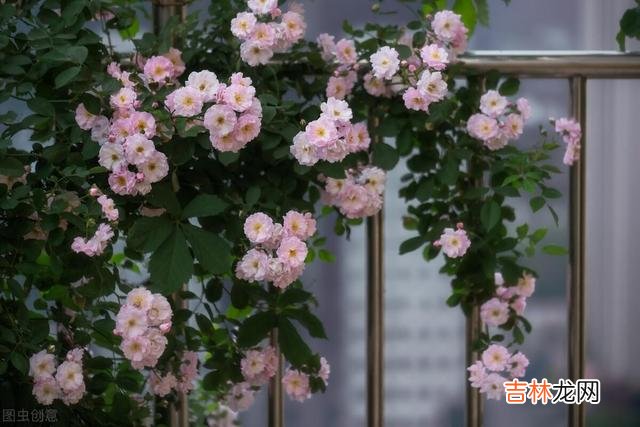 “人从巧计夸伶俐。|退休后，捂紧自己的钱袋子，守好自己的养老钱，学会适度地抠门些