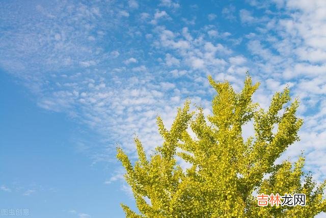 忙忙碌碌大半生 余生，最重要的投资，是用运动投资我们的身体健康