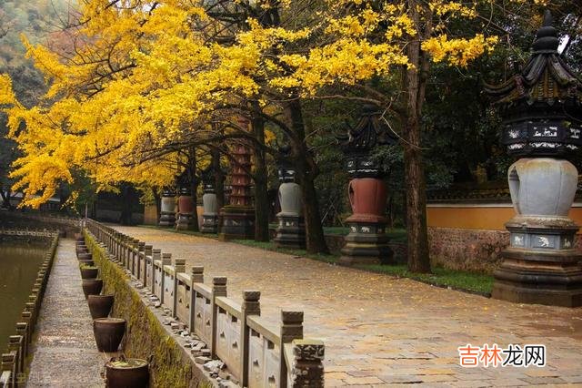 忙忙碌碌大半生 余生，最重要的投资，是用运动投资我们的身体健康